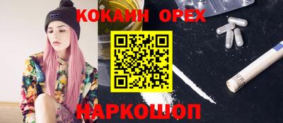 индика Краснознаменск
