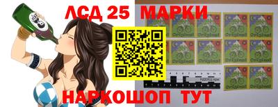 индика Краснознаменск