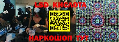 крисы Шебекино