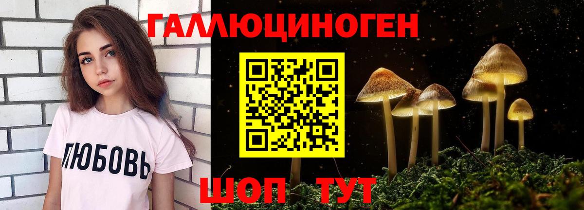 Псилоцибиновые грибы прущие грибы Зерноград